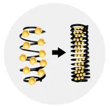 ELASTICIDAD Y PLASTICIDAD DEL TEJIDO