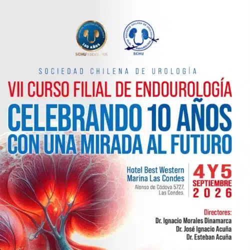 Curso de Endourología Chile